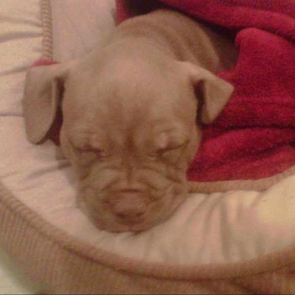 Meet your Posher, Kaye - Picture 1 of 1